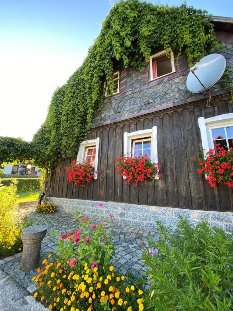 Apartmany U Dostalu Bedřichov Exteriör bild